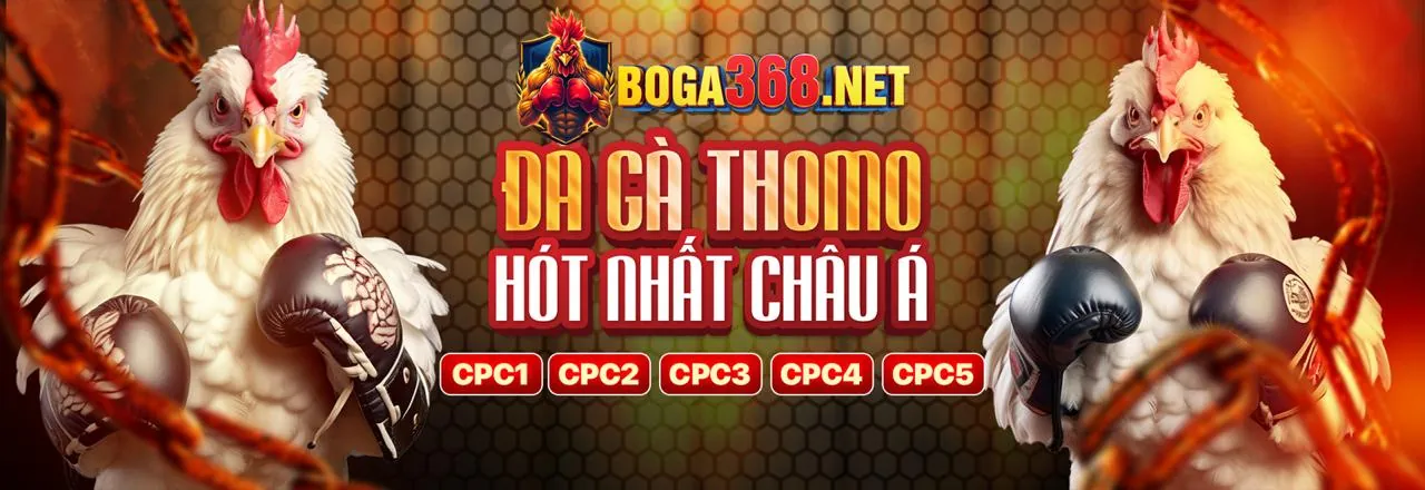 Các chương trình khuyến mãi độc quyền tại vswin Casino